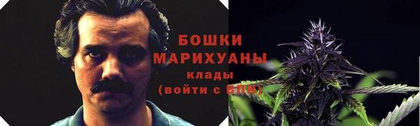 винт Карпинск